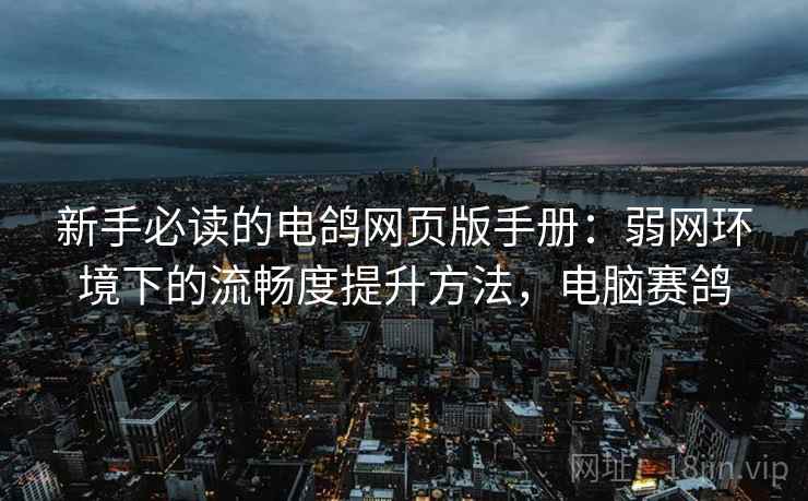新手必读的电鸽网页版手册：弱网环境下的流畅度提升方法，电脑赛鸽