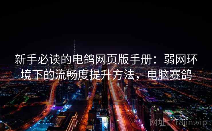 新手必读的电鸽网页版手册：弱网环境下的流畅度提升方法，电脑赛鸽