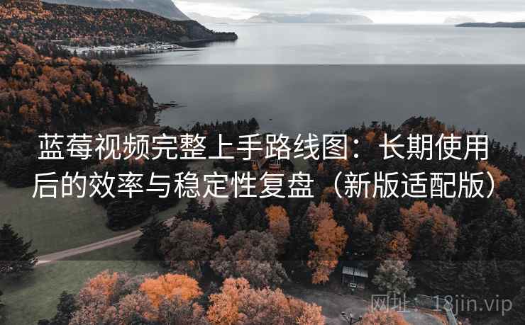 蓝莓视频完整上手路线图：长期使用后的效率与稳定性复盘（新版适配版）