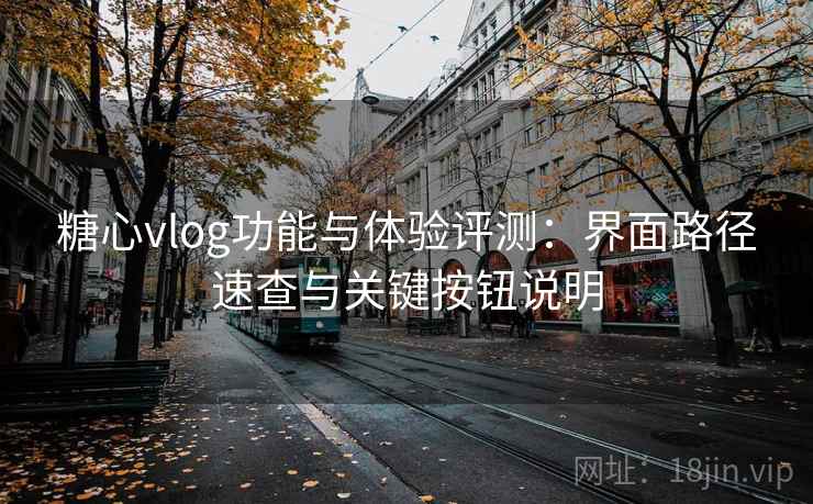 糖心vlog功能与体验评测：界面路径速查与关键按钮说明