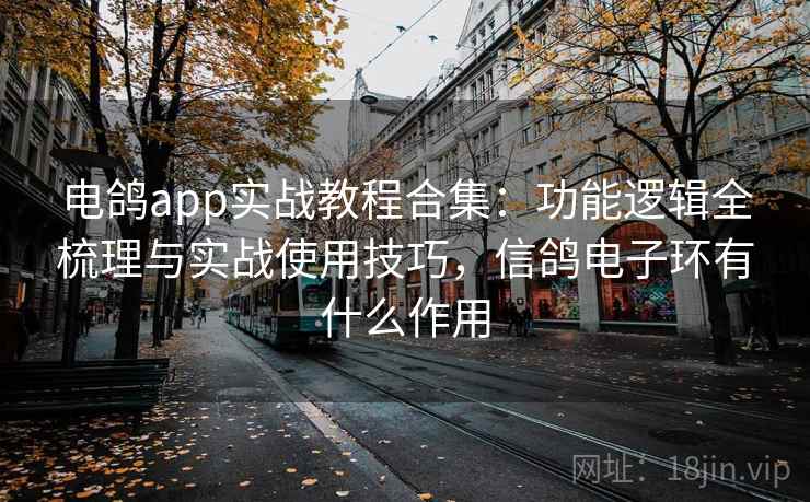 电鸽app实战教程合集：功能逻辑全梳理与实战使用技巧，信鸽电子环有什么作用