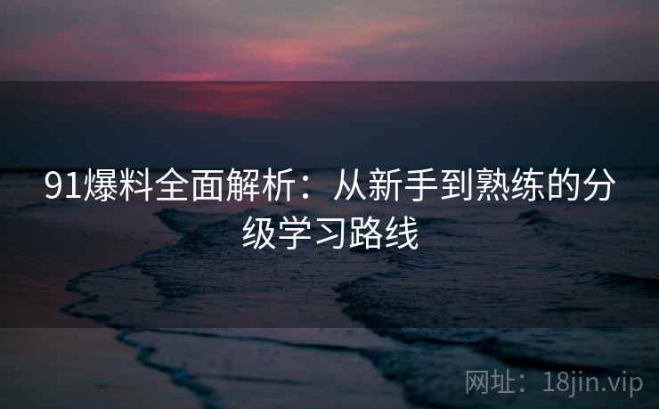 91爆料全面解析:从新手到熟练的分级学习路线 91爆料全面解析:从新手到熟练的分级学习路线