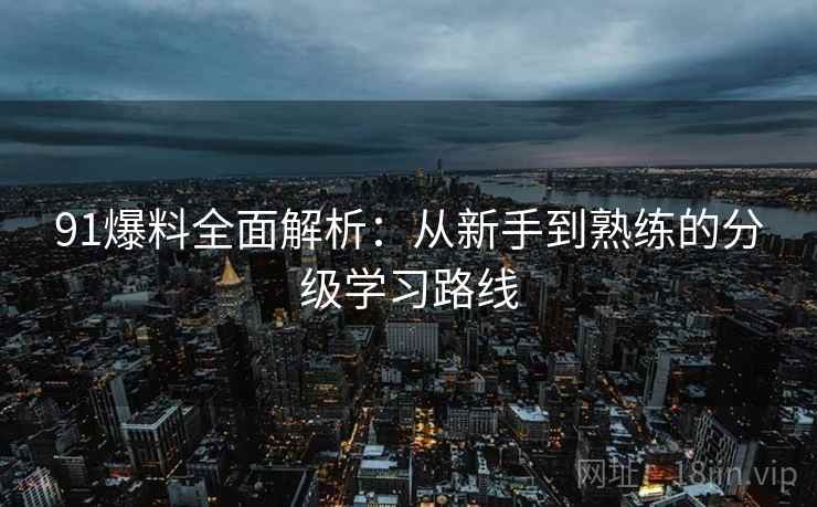 91爆料全面解析:从新手到熟练的分级学习路线 91爆料全面解析:从新手到熟练的分级学习路线
