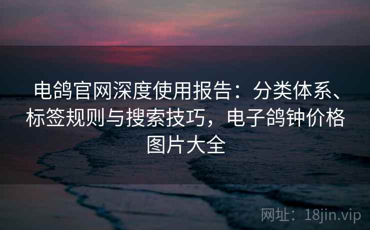 电鸽官网深度使用报告：分类体系、标签规则与搜索技巧，电子鸽钟价格图片大全