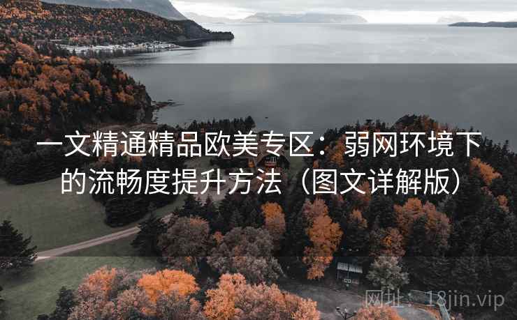 一文精通精品欧美专区:弱网环境下的流畅度提升方法(图文详解版) 一文精通精品欧美专区:弱网环境下的流畅度提升方法(图文详解版)