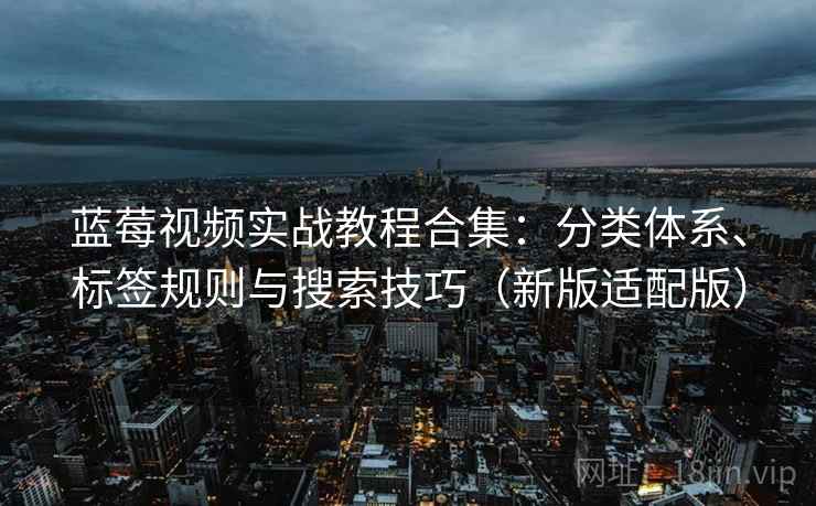 蓝莓视频实战教程合集：分类体系、标签规则与搜索技巧（新版适配版）