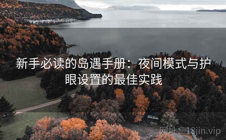 新手必读的岛遇手册：夜间模式与护眼设置的最佳实践