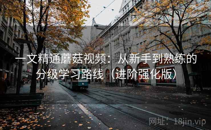 一文精通蘑菇视频：从新手到熟练的分级学习路线（进阶强化版）