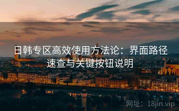 日韩专区高效使用方法论：界面路径速查与关键按钮说明