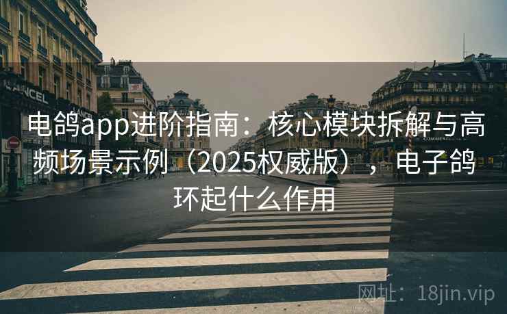 电鸽app进阶指南：核心模块拆解与高频场景示例（2025权威版），电子鸽环起什么作用