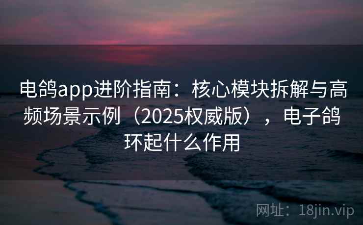 电鸽app进阶指南：核心模块拆解与高频场景示例（2025权威版），电子鸽环起什么作用