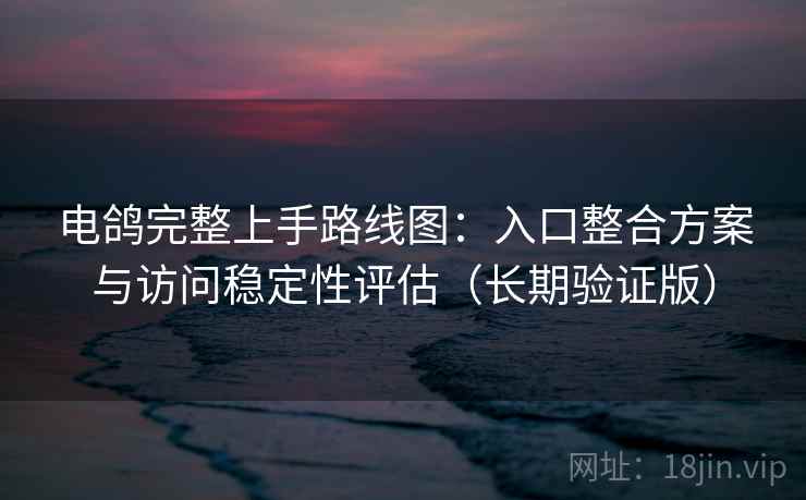 电鸽完整上手路线图：入口整合方案与访问稳定性评估（长期验证版）