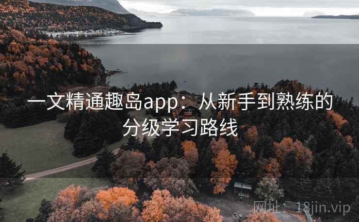 一文精通趣岛app:从新手到熟练的分级学习路线 一文精通趣岛app:从新手到熟练的分级学习路线
