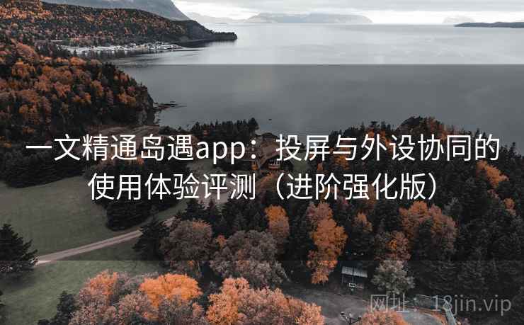 一文精通岛遇app：投屏与外设协同的使用体验评测（进阶强化版）