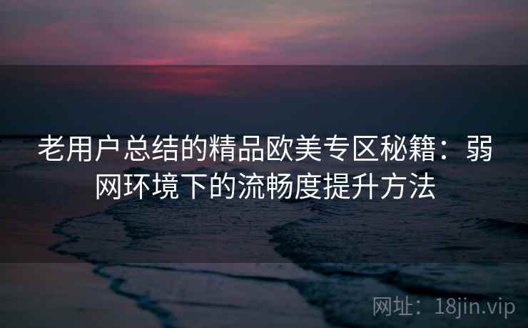 老用户总结的精品欧美专区秘籍：弱网环境下的流畅度提升方法